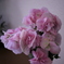紫陽花