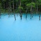 青い池は雨