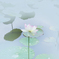 植物園