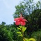 DSC09184