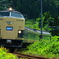 梅雨晴れ・583系