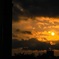 夕陽