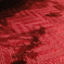 DSC01944