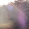 DSC02237