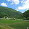 初夏のひととき