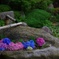 紫陽花祭り