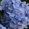 ちょっと休憩中…にしては豪華な足場ですね！