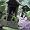 きつね