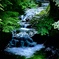 濃溝の滝