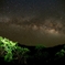 夜空仰げば・・・
