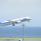 暑かった羽田空港２