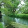 大王わさび農場