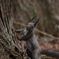 sIMG_6076