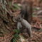 sIMG_6072