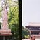 増上寺の平日
