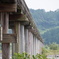 木の橋