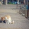 半目マン、その後…