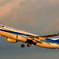 The Takeoff of Sunset