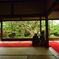 宝泉院・五葉の松２