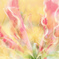 Glory Lily