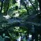 水鏡