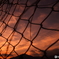 Ｓｕｍｍｅｒ　sunset   "Bird cage"