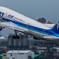D7200とシグマ150-600contemporary・・・29