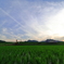 夕暮れ前