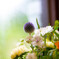 pretty plant
