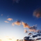 DPP_4331