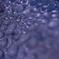 DPP_4334