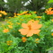 千葉公園にて