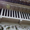 IMGP0070