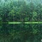 小雨の御射鹿池
