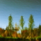 Monet