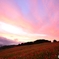 ある日の夕景 ９