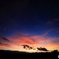 ある日の夕景 １１