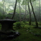 苔むす寺