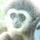 多摩動物公園にて