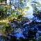 Wavelets