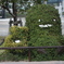 退廃した森