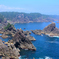 海金剛_2
