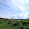 Country Road