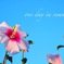 one day in summer