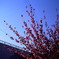 photo582600