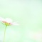 breathing ～はじまり～