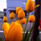 PICT0406