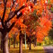 PICT0040