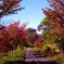 PICT0007