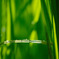 Green Bridge